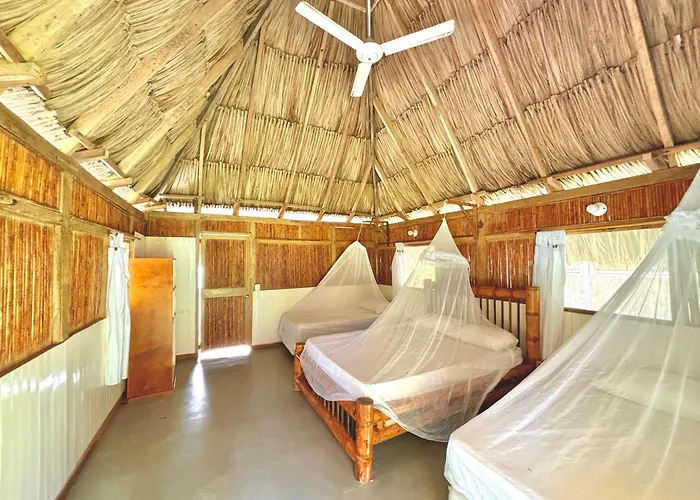 Playa Bonita Ecohotel Pet-Friendly