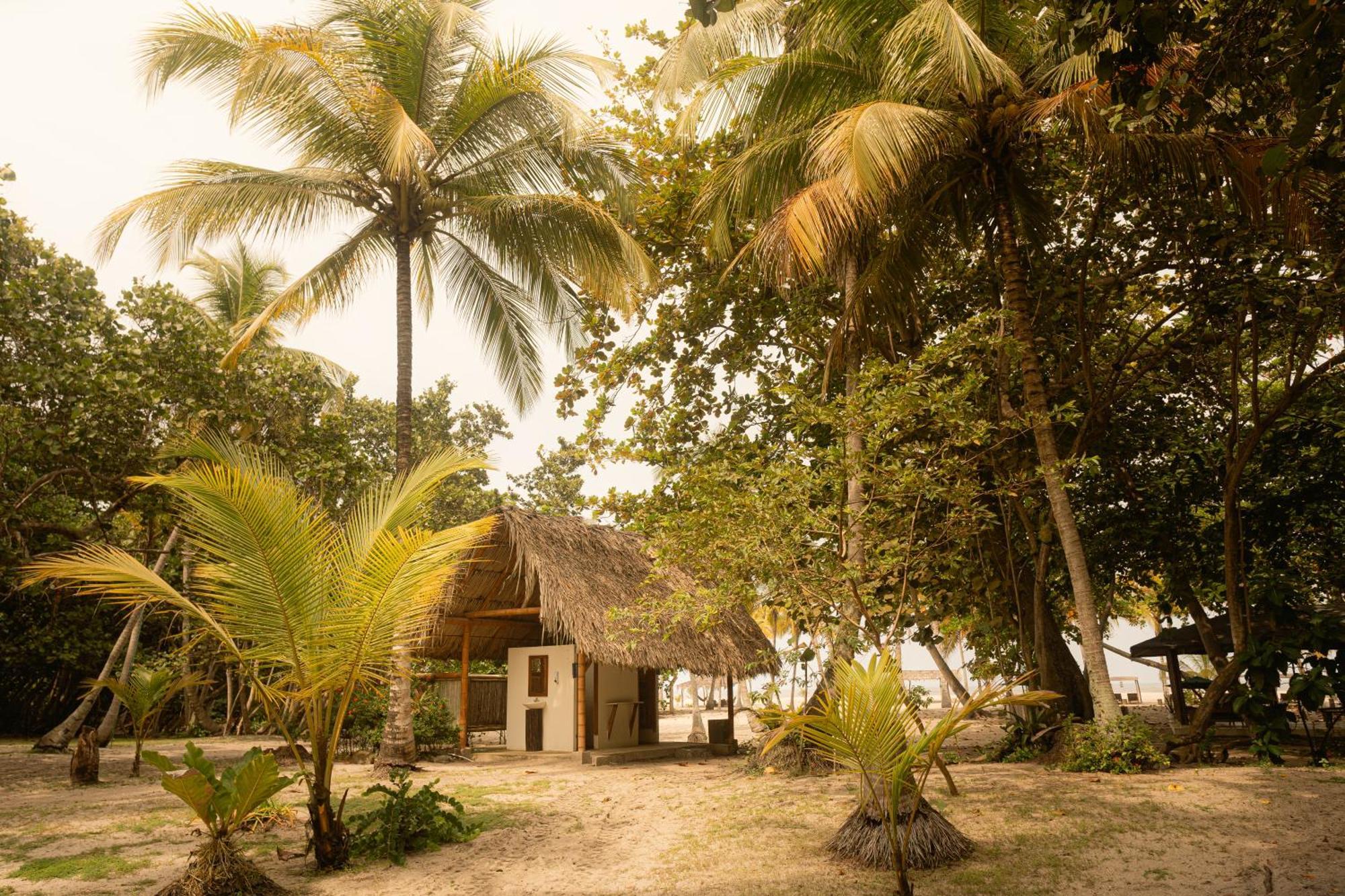 Playa Bonita Ecohotel Pet-friendly Buritaca