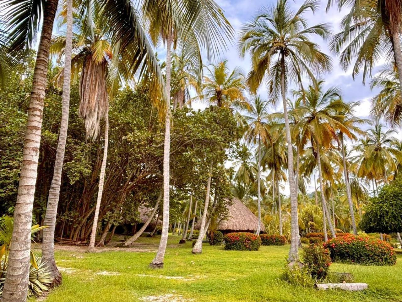 Hotel Playa Bonita Ecohotel Pet-friendly Buritaca