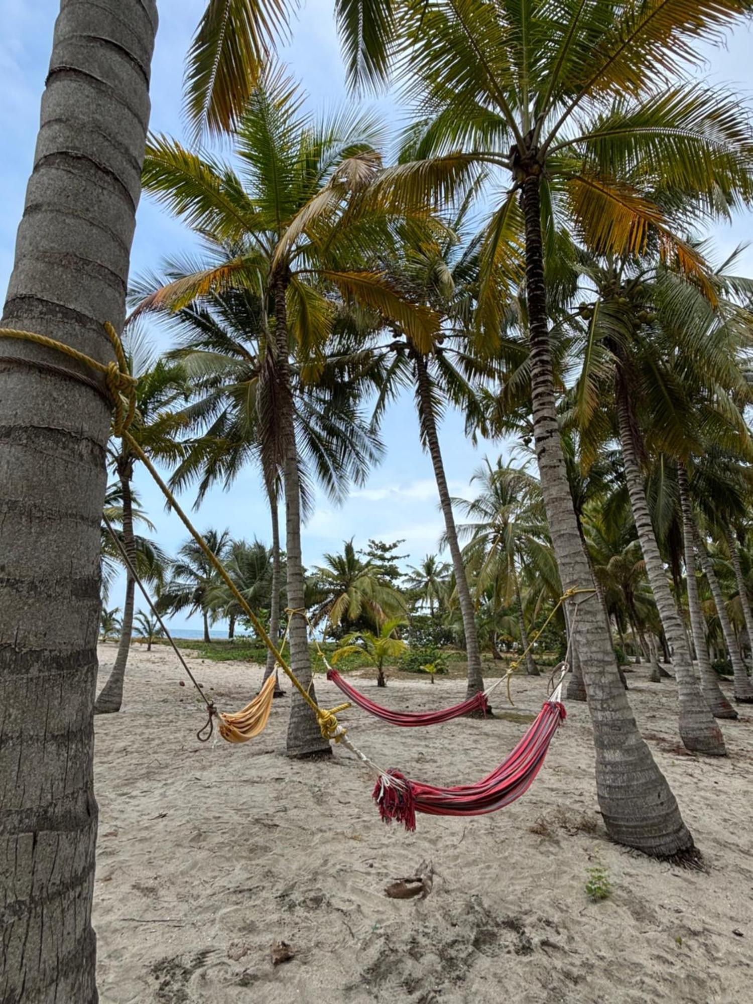 Playa Bonita Ecohotel Pet-friendly Buritaca