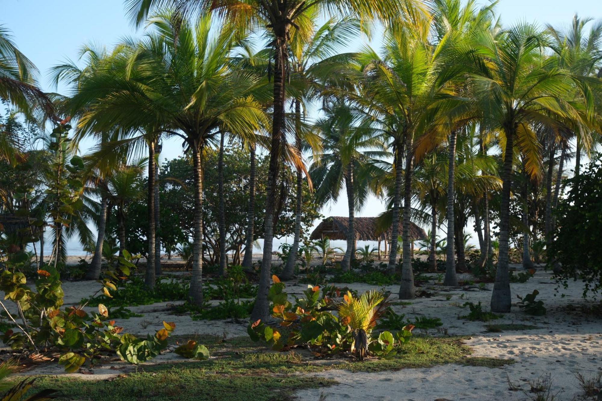 Playa Bonita Ecohotel Pet-friendly 2*