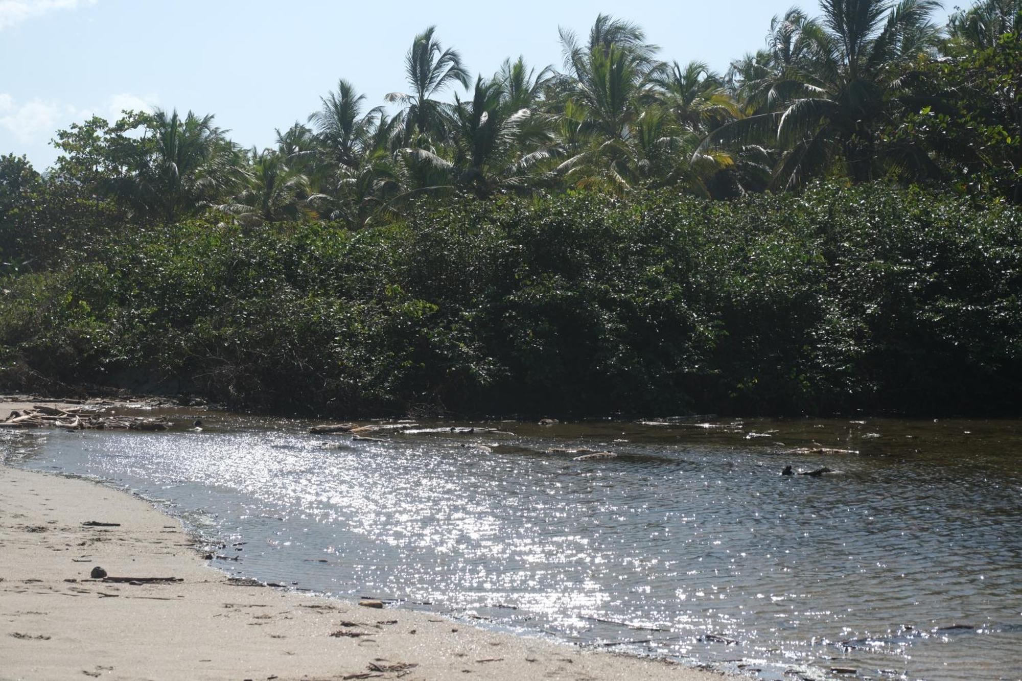Hotel Playa Bonita Ecohotel Pet-friendly 2*