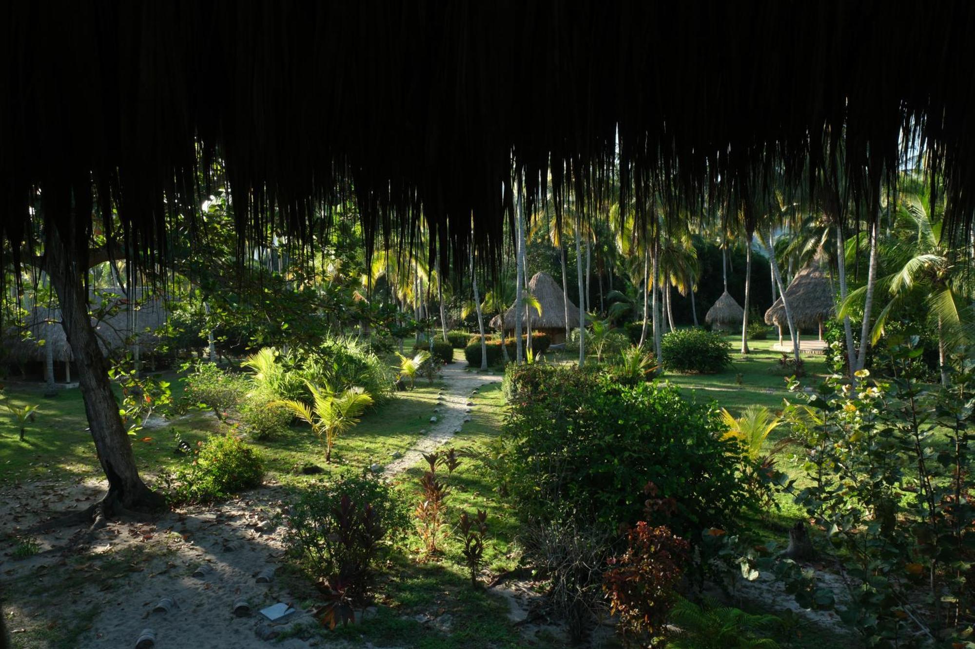 Playa Bonita Ecohotel Pet-friendly Hotel Buritaca