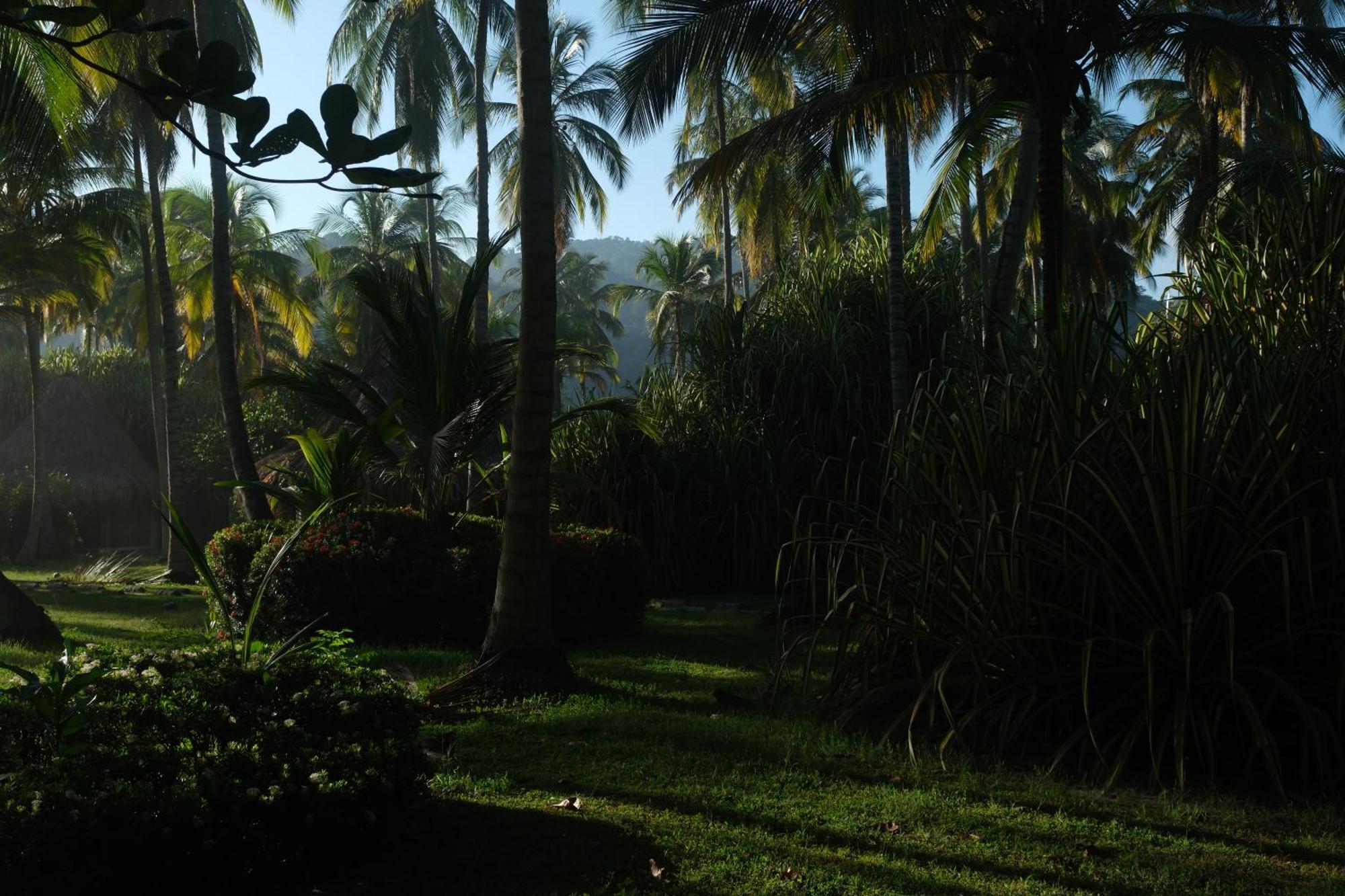 Hotel Playa Bonita Ecohotel Pet-friendly Buritaca
